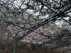 -五台山游泳馆