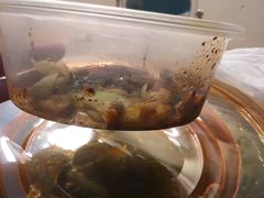 -王妈热卤·川味馆(海昌店)