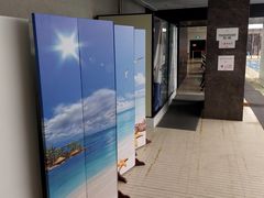 -蓝天国际游泳培训基地(华腾园店)
