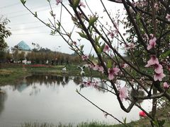 -紫颐香薰山谷景区