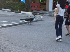 -亚洲大陆最南端