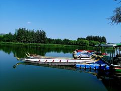 -大兴滨河森林公园