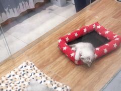 -狗道宠物(常熟印象城店)