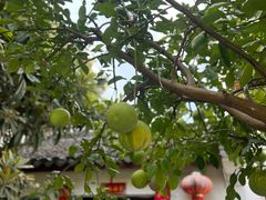 -丝绸小镇荻港古村