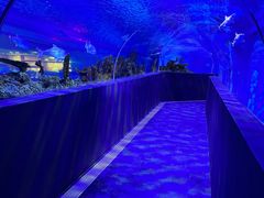 景点-成都浩海立方海洋公园