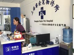 -睿金宠物医院·CT·肿瘤·骨外科