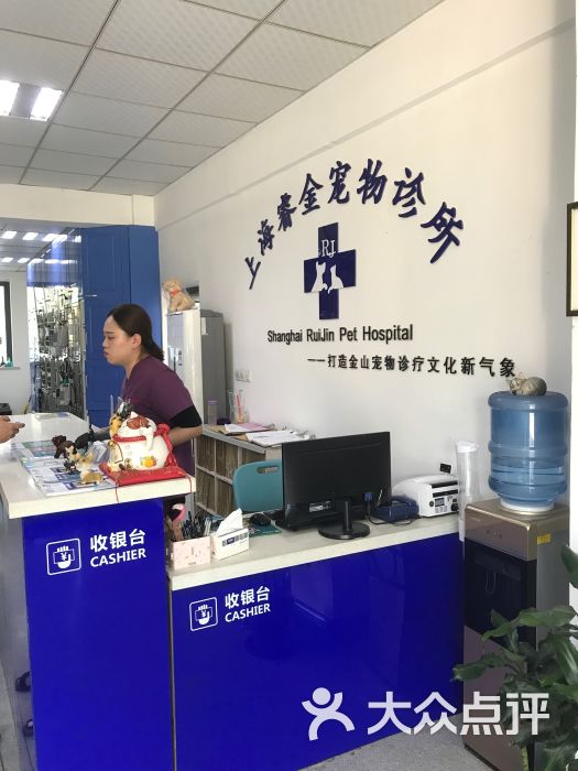 宠物健康守护之绝育手术