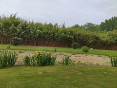 -夏河溪乡野公园
