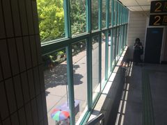 -杨高南路(地铁站)