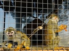 -水上乐园·欢乐世界