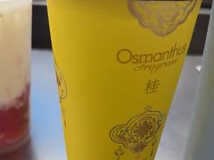 -爷爷不泡茶 NOYEYENOTEA(长沙五江天街店)