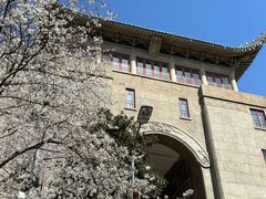 -武汉大学-樱园