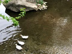 -北京水岸山吧度假村(雁栖镇店)