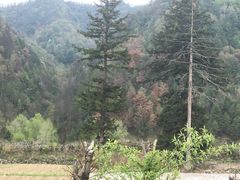 -黑河国家森林公园