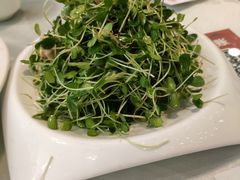 -东四民芳餐厅(世茂工三店)