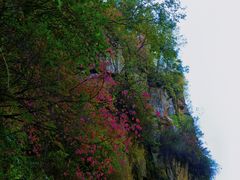 -茅兰沟国家森林公园