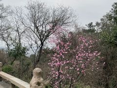 -虞山风景区