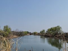 -南湖湿地公园