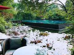 -杭州西子湖四季酒店-WL BISTRO西湖餐厅(灵隐路店)