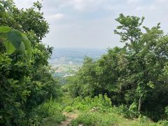 -杭州半山国家森林公园