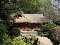 -中国茶叶博物馆(双峰馆区)