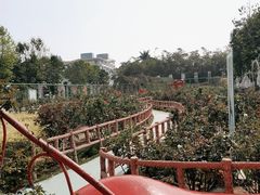 -百万葵园