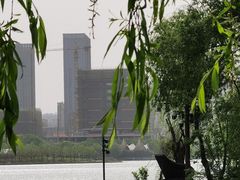 -天鹅湖体育公园