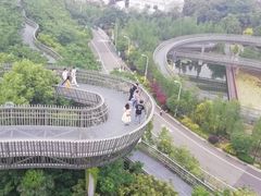 -福道