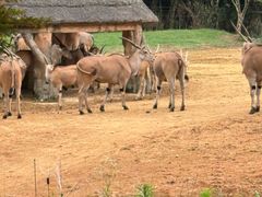 -杭州野生动物世界