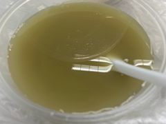 绿豆汤-胡记锅贴·沪上游子老鸭粉丝汤(太原路店)