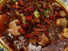 水煮毛血旺-双井轩(双井店)