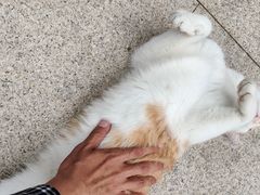 -龙口南山旅游景区