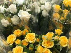 -循礼门鲜花花市(武汉循礼门店)