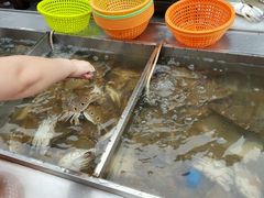 -渔家火锅·海鲜自助餐·演艺(亚龙湾天域酒店)