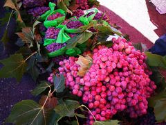 -三旗百汇商品城