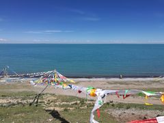 -马学武手抓美食(下南关总店)