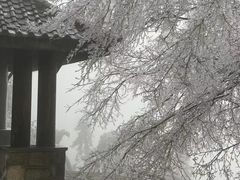 -莫干山风景区