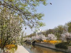 -海棠花溪(元大都城垣遗址公园)