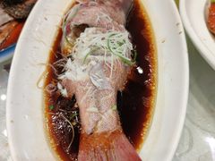 苏眉-龙景軒大酒店(共康店)