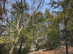 -狼山风景名胜区