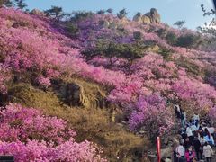 -青岛大珠山景区