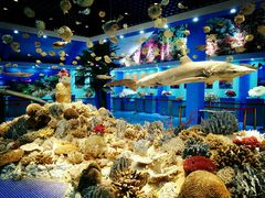 珊瑚馆-上海长兴岛郊野公园