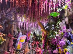 -正佳雨林生态植物园