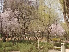 -南长河公园