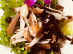 -阿鹏故事野生菌火锅(双廊古镇店)