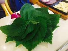 紫苏叶-千纸鹤嫩汁烤肉(学府店)