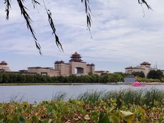 -莲花池公园