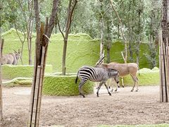 -北京野生动物园