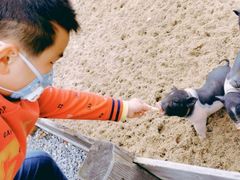 -前小桔亲子创意农场·草莓采摘·露营烧烤