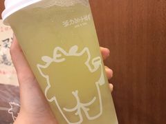 原创小黄皮-茶力的小怪兽(梅林卓悦汇店)